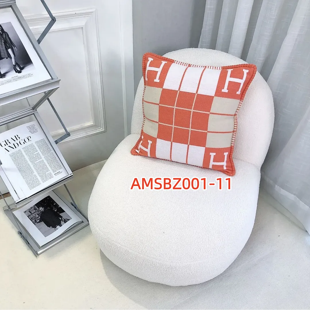 Hermes AMSBZ001 תמונה 19