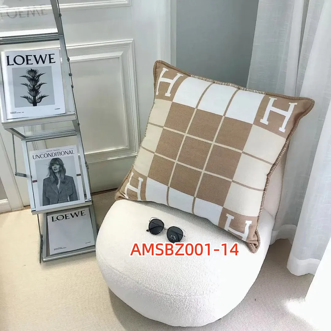 Hermes AMSBZ001 תמונה 22