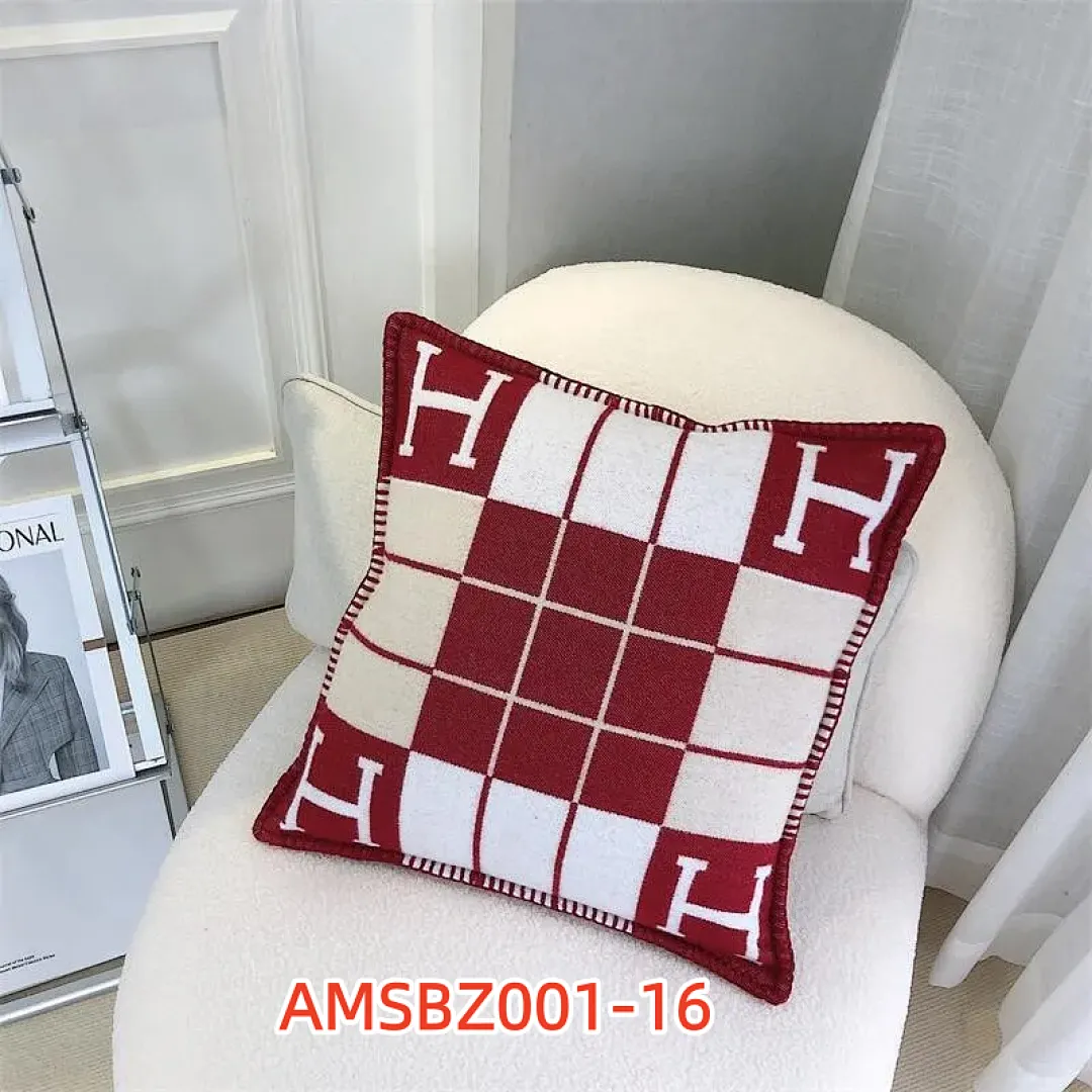 Hermes AMSBZ001 תמונה 24