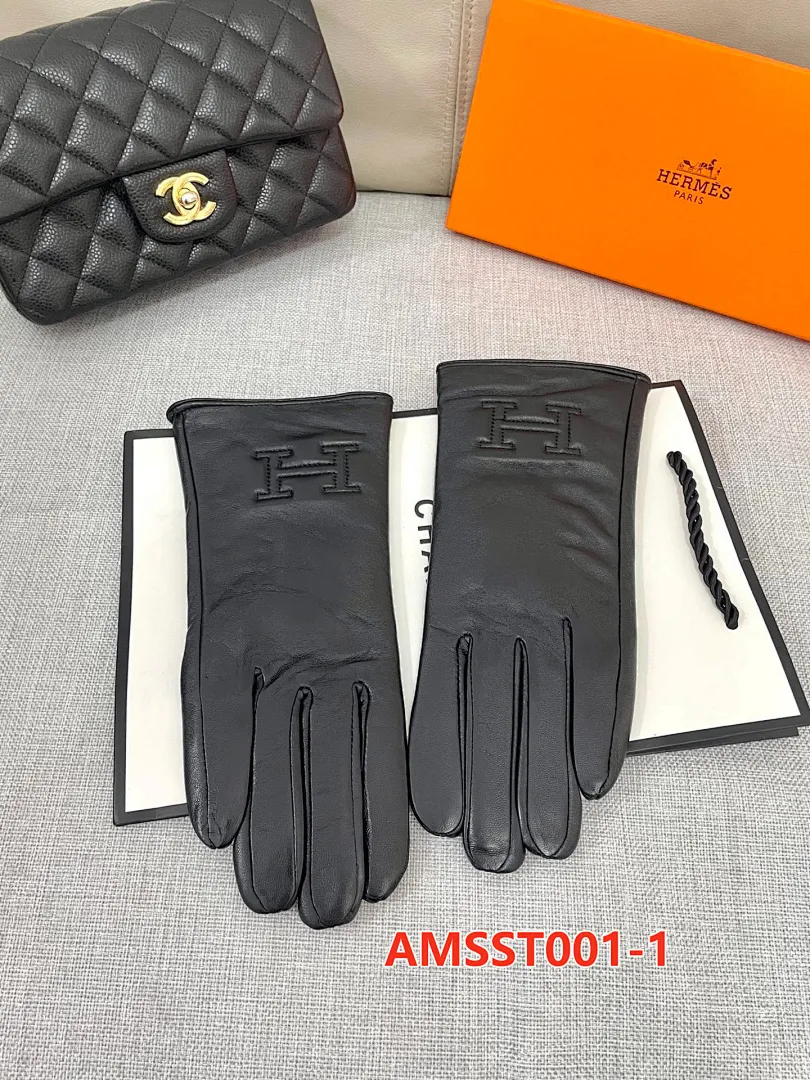 Hermes AMSST001 תמונה 11