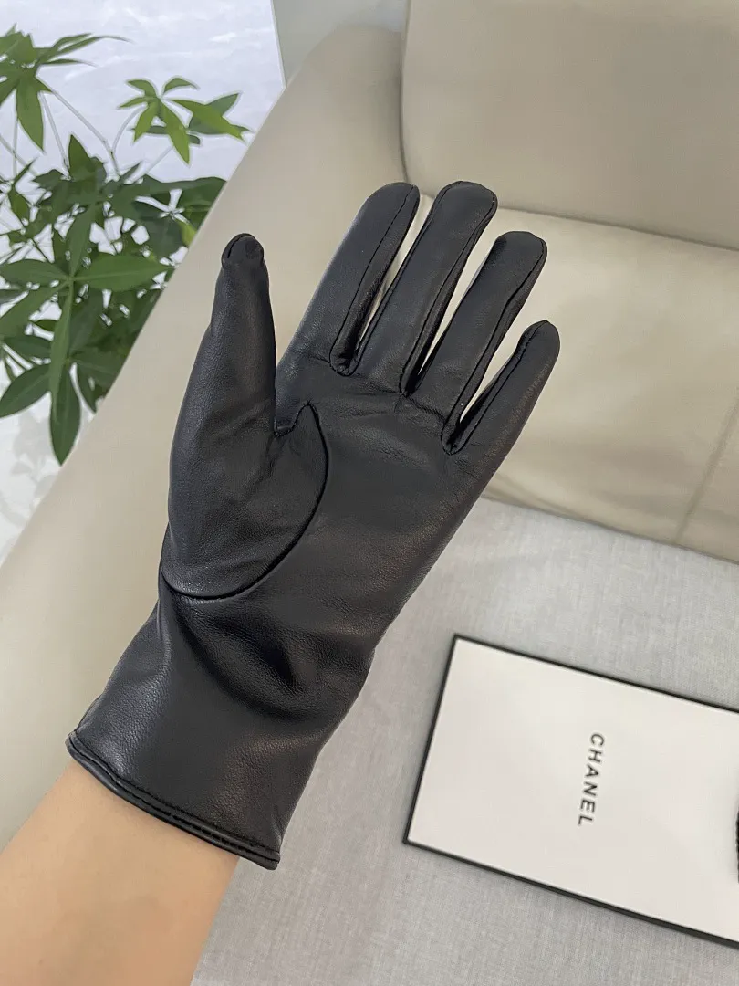 Hermes AMSST001 תמונה 6