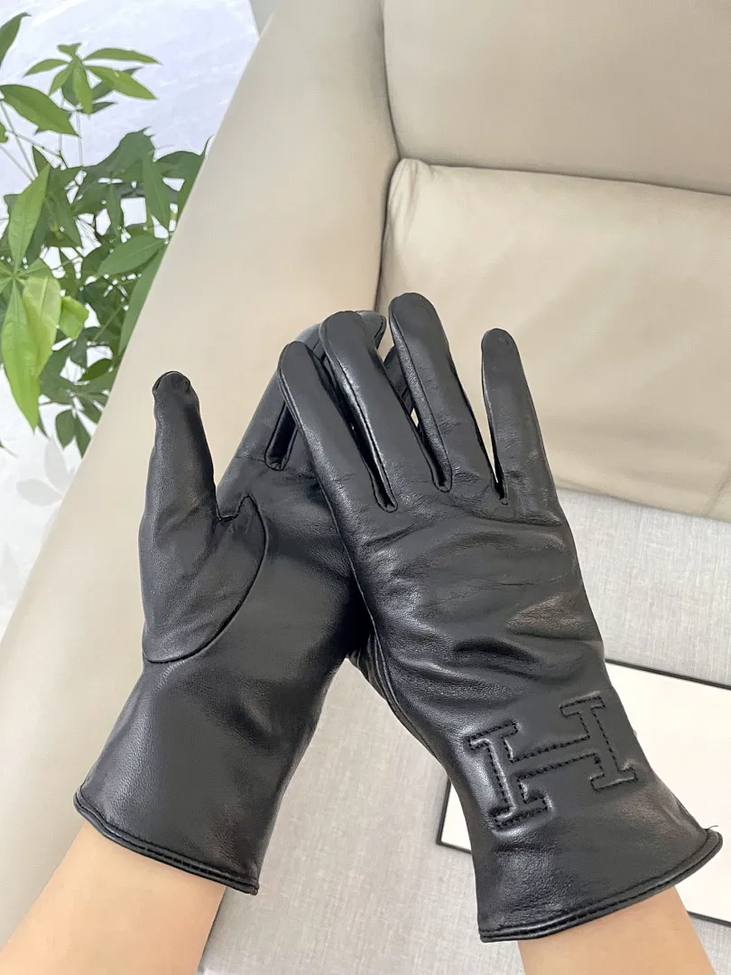 Hermes AMSST001 תמונה 8
