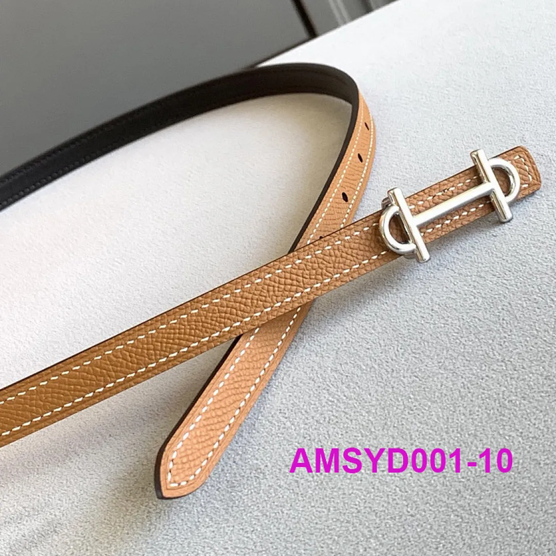 Hermes AMSYD001 תמונה 12