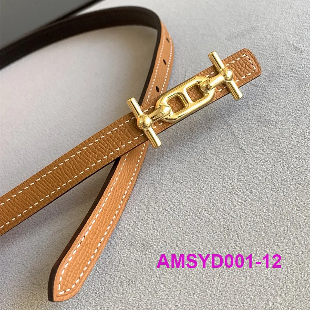Hermes AMSYD001 תמונה 14