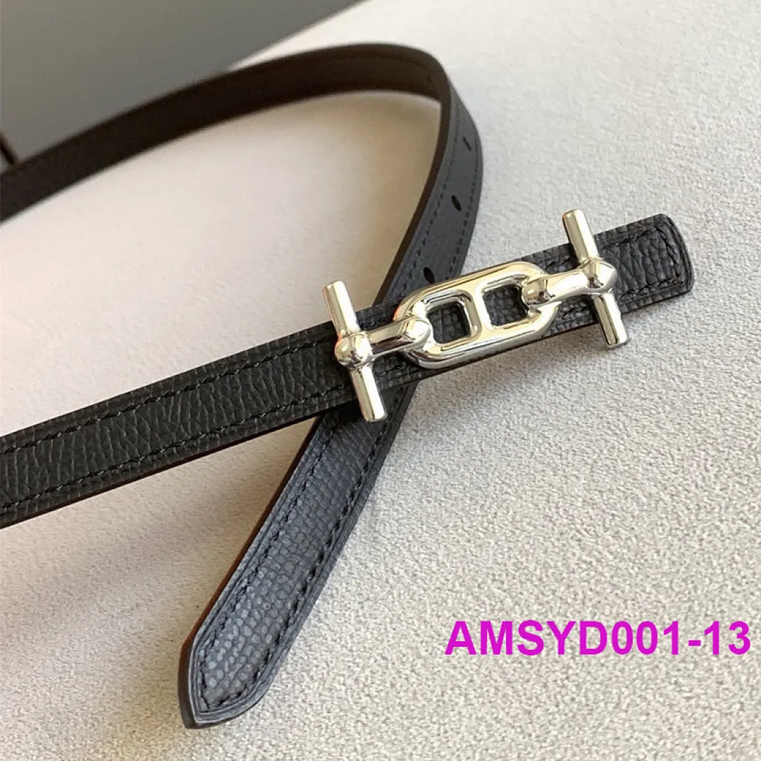 Hermes AMSYD001 תמונה 15