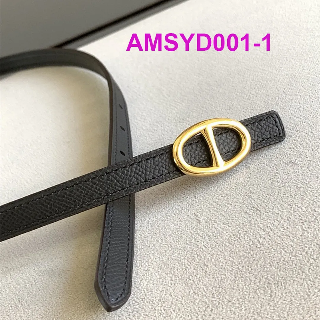Hermes AMSYD001 תמונה 3