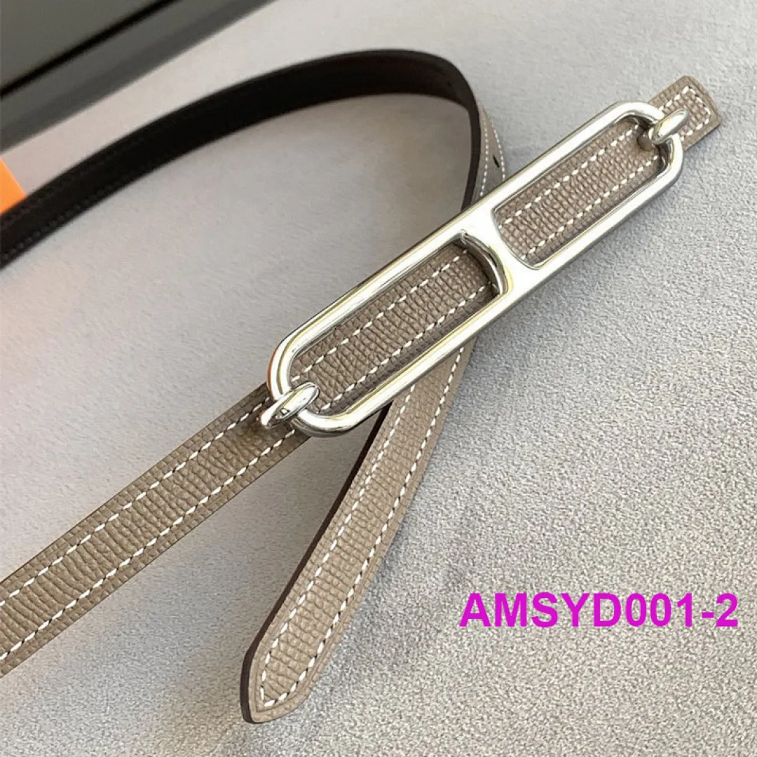 Hermes AMSYD001 תמונה 4