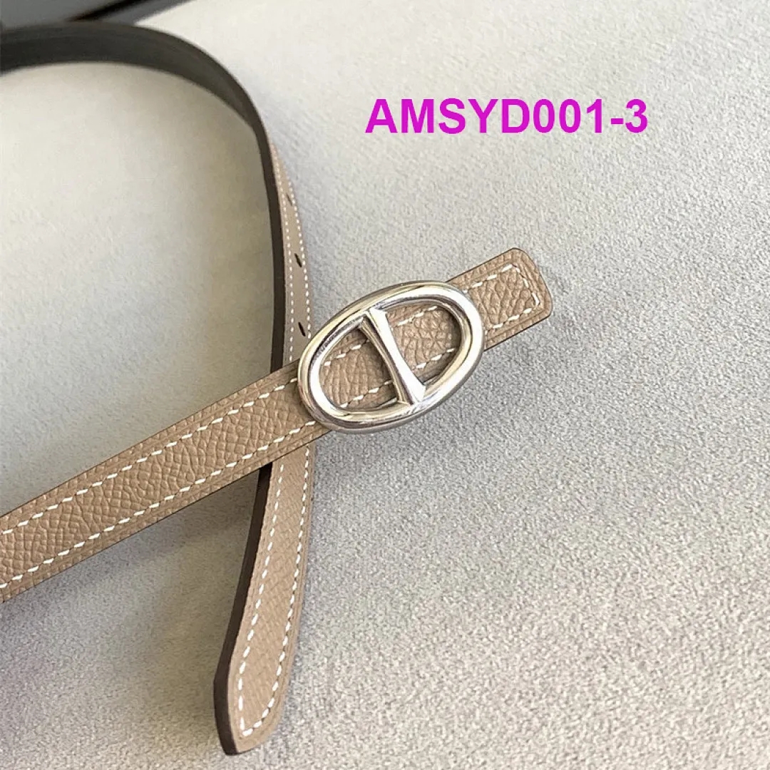 Hermes AMSYD001 תמונה 5