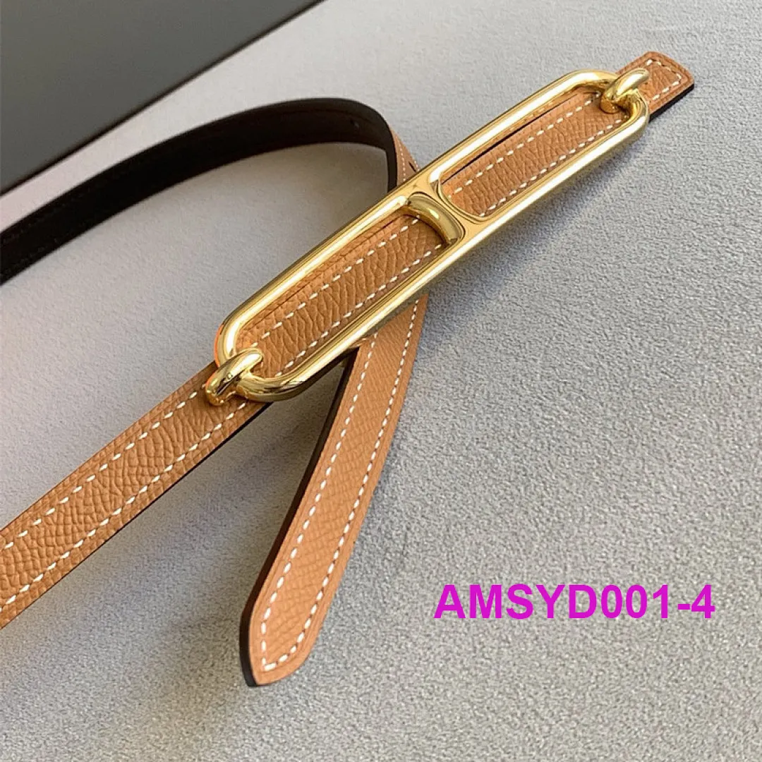 Hermes AMSYD001 תמונה 6