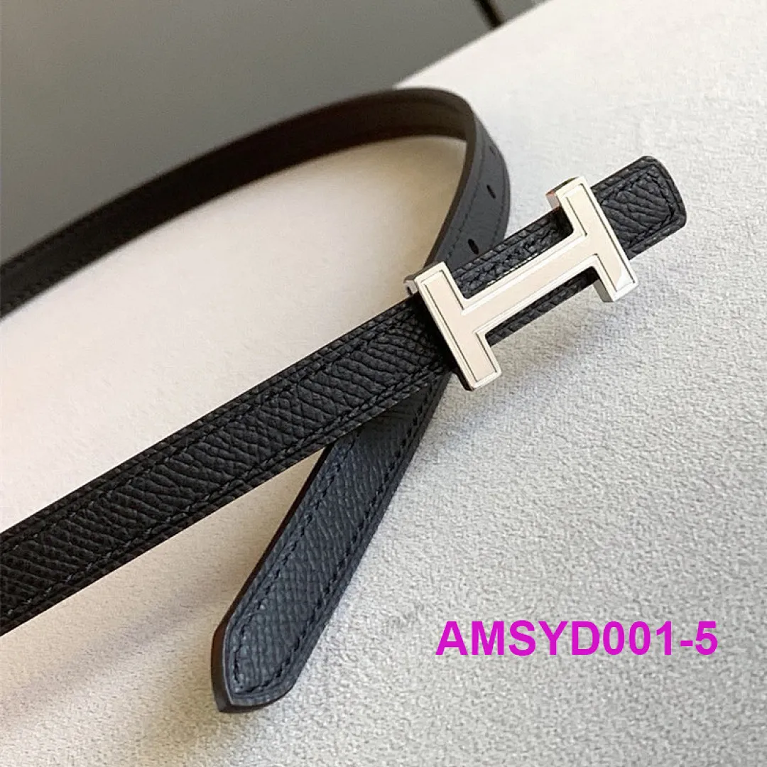 Hermes AMSYD001 תמונה 7