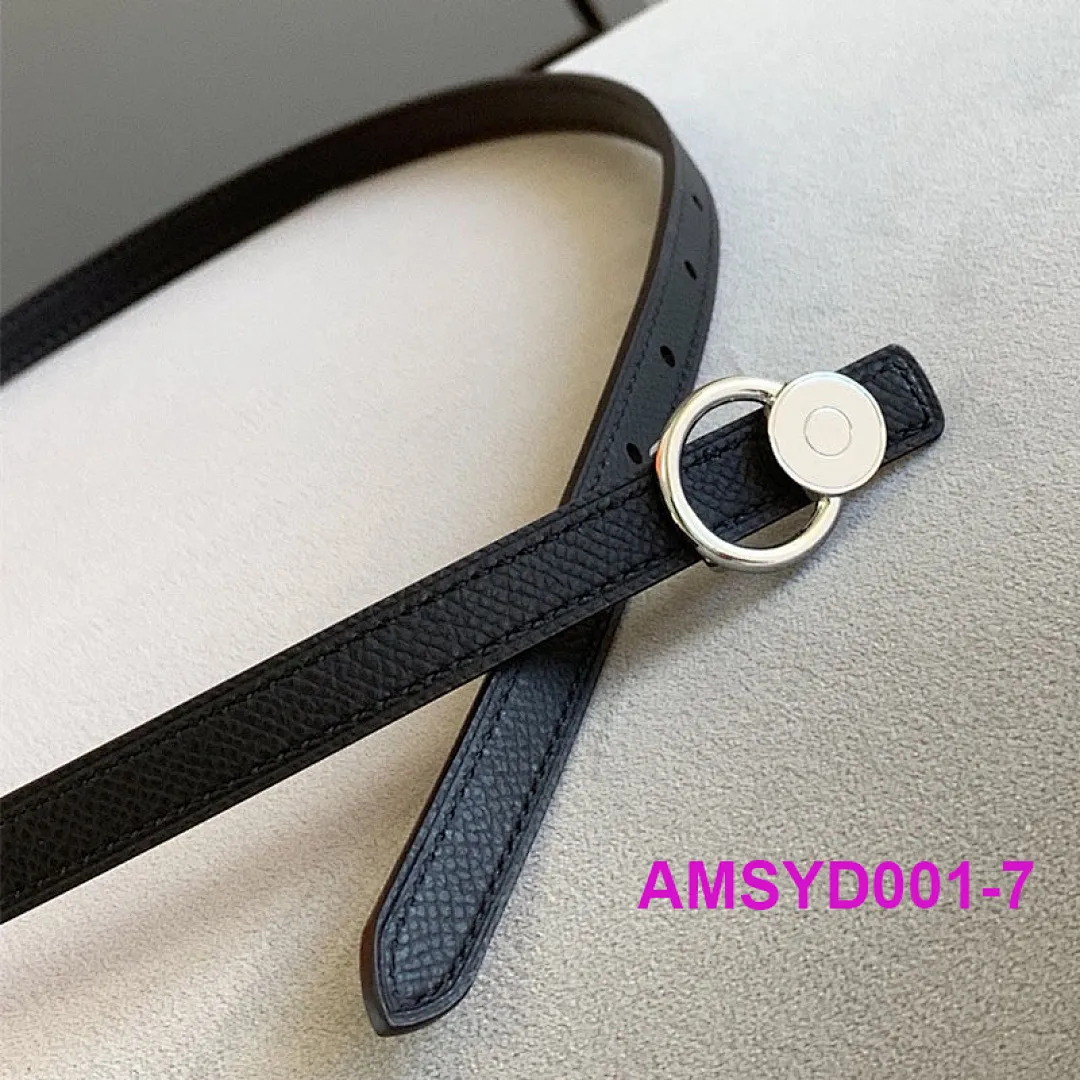 Hermes AMSYD001 תמונה 9