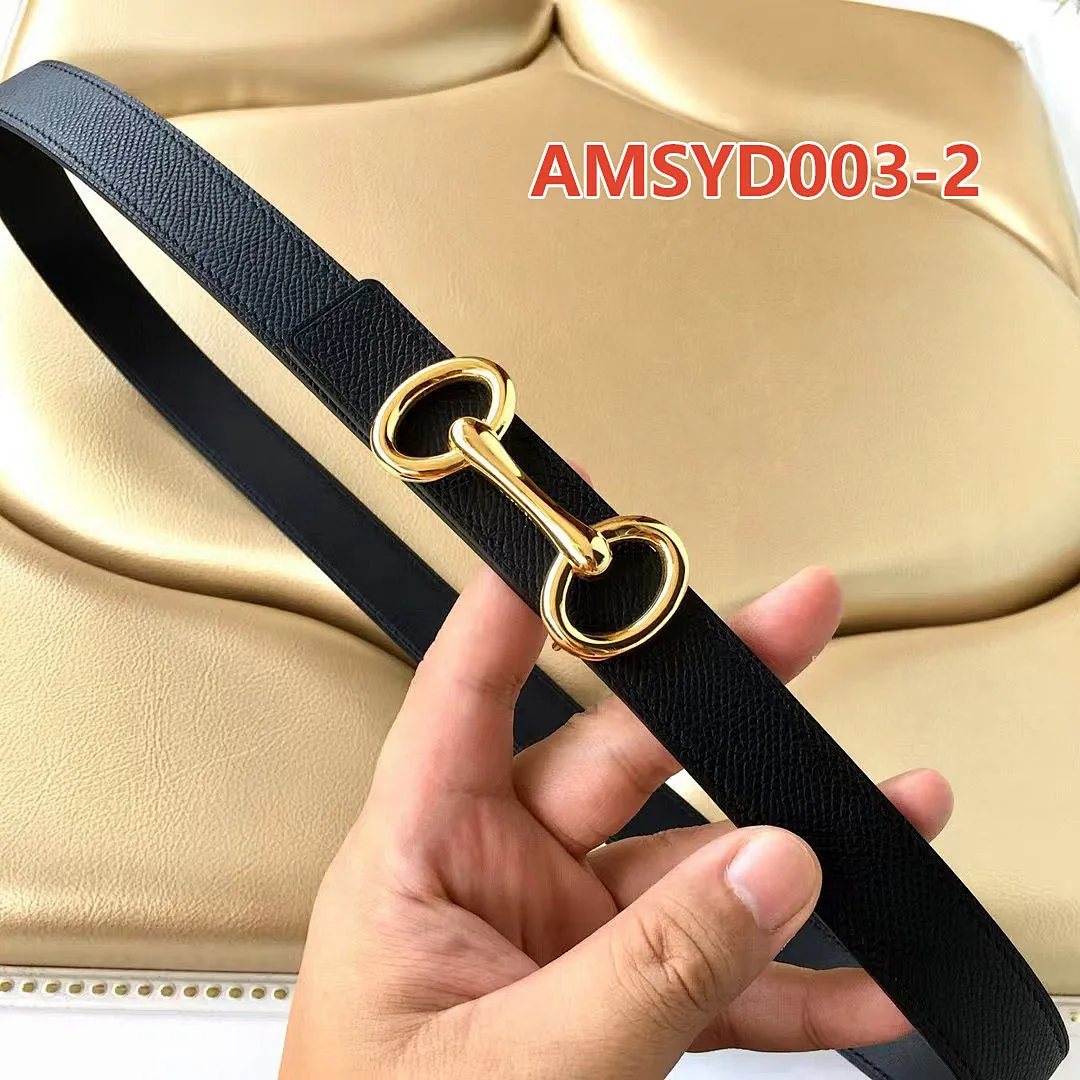 Hermes AMSYD003 תמונה 11