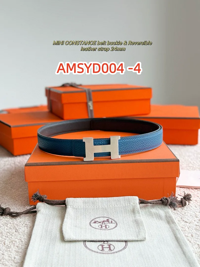 Hermes AMSYD004 תמונה 10
