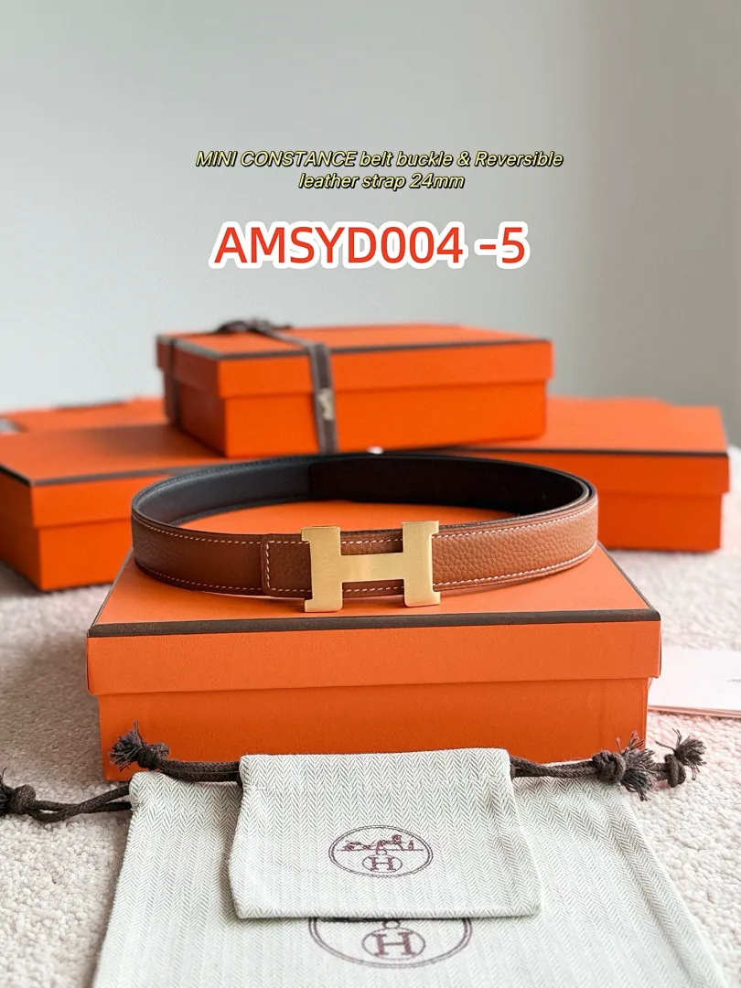 Hermes AMSYD004 תמונה 11