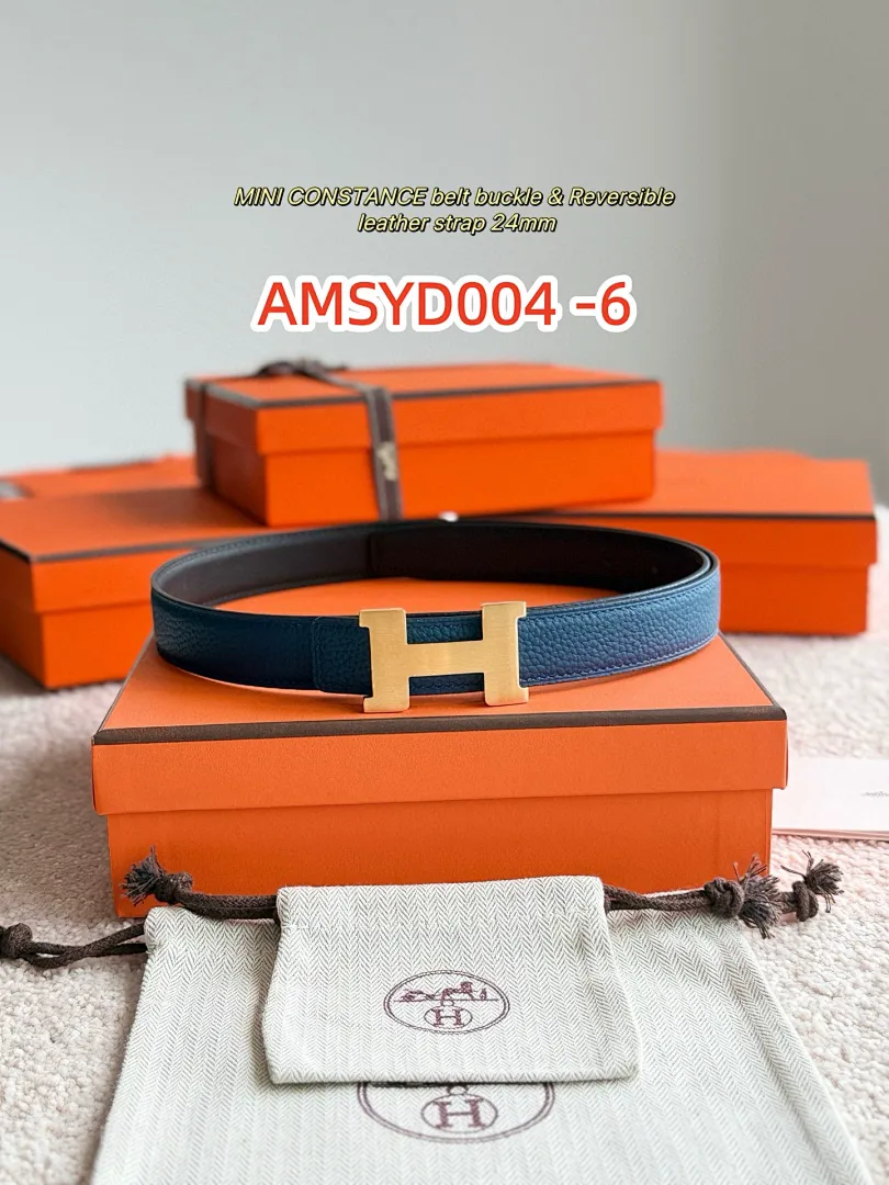 Hermes AMSYD004 תמונה 12