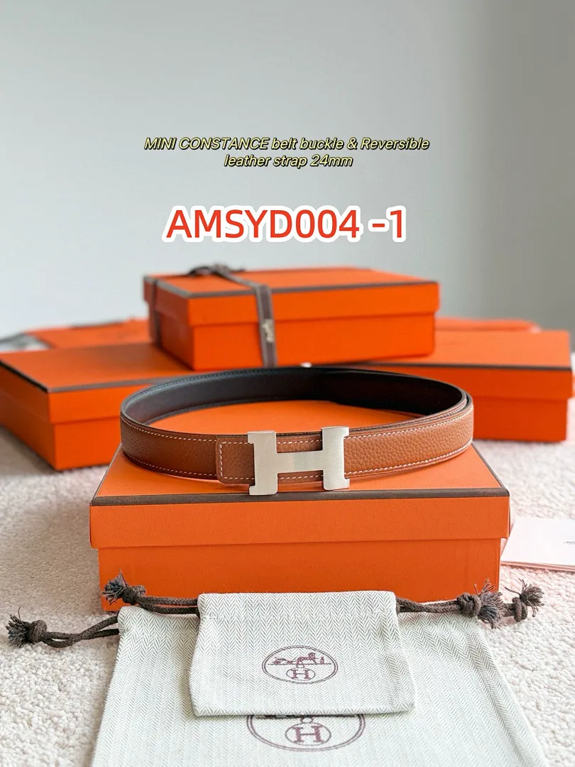 Hermes AMSYD004 תמונה 7