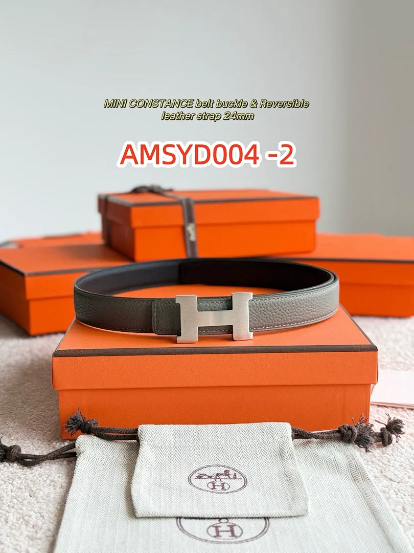 Hermes AMSYD004 תמונה 8