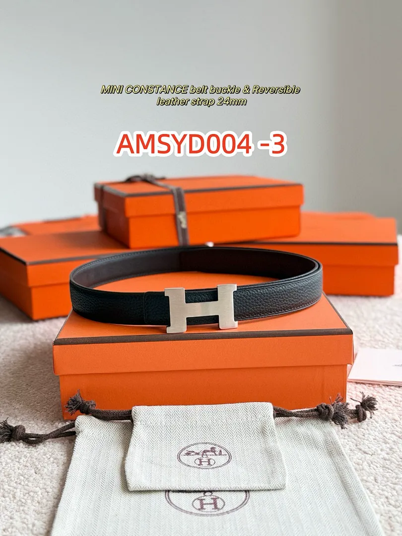 Hermes AMSYD004 תמונה 9