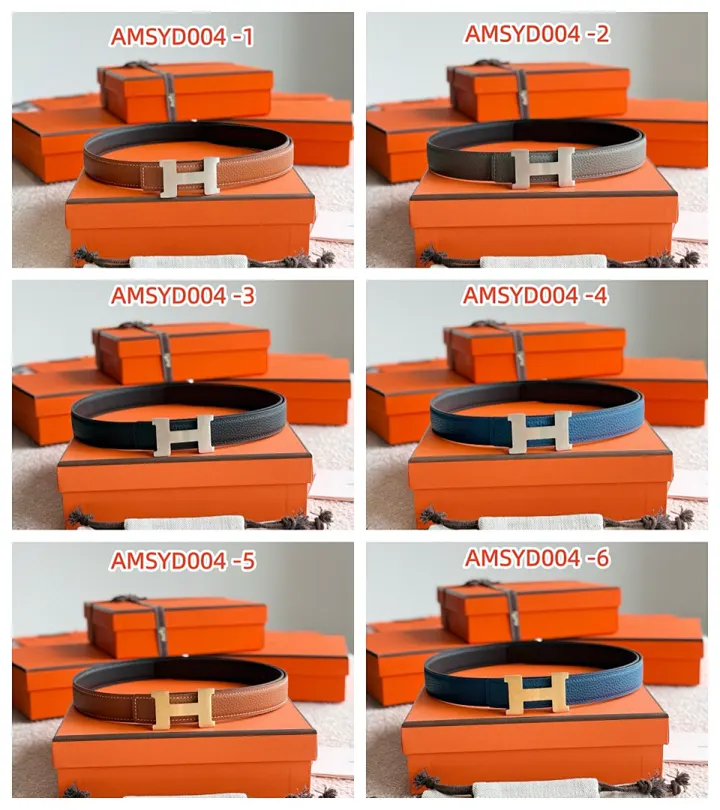 Hermes AMSYD004