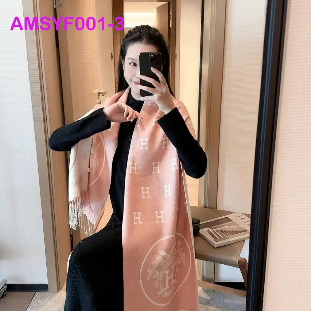 Hermes AMSYF001 תמונה 4