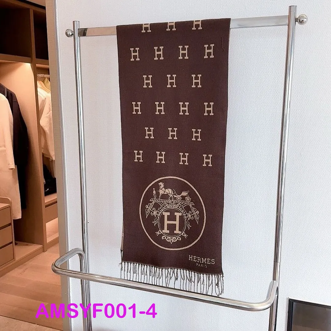 Hermes AMSYF001 תמונה 5