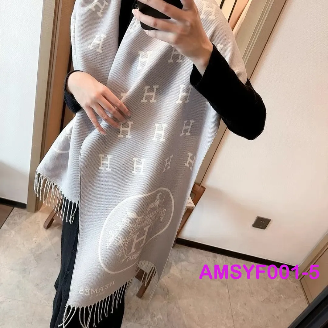 Hermes AMSYF001 תמונה 6