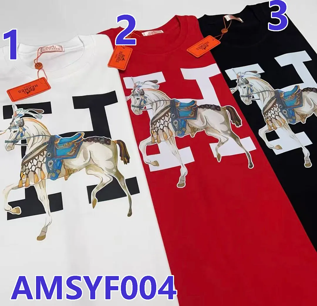 Hermes AMSYF004 תמונה 8