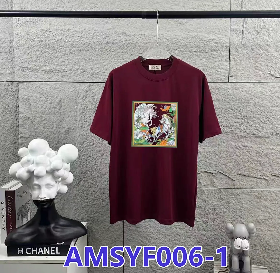 Hermes AMSYF006 תמונה 6