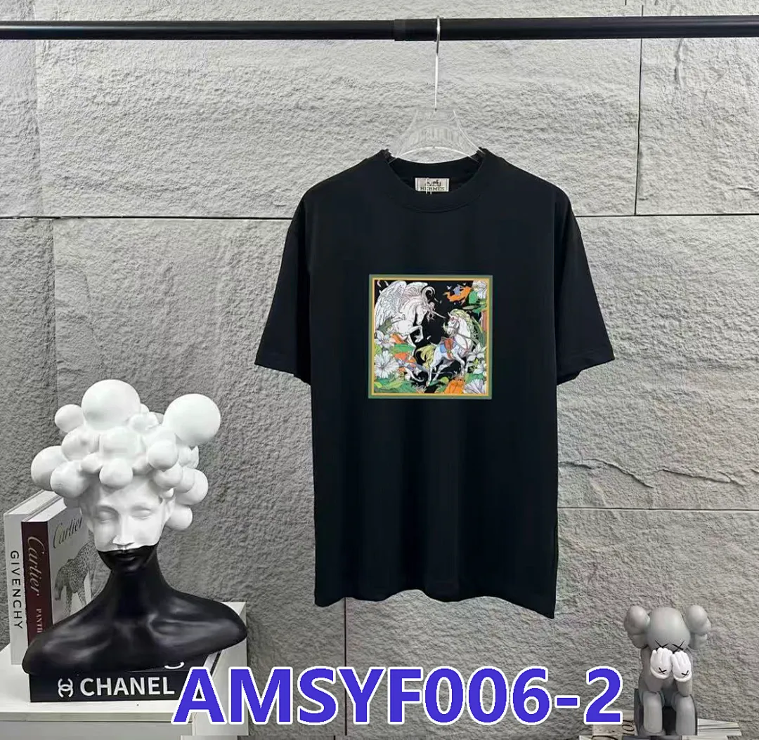 Hermes AMSYF006 תמונה 7