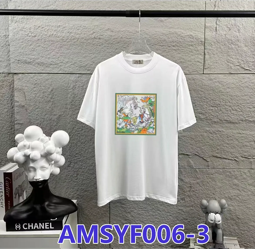 Hermes AMSYF006 תמונה 8