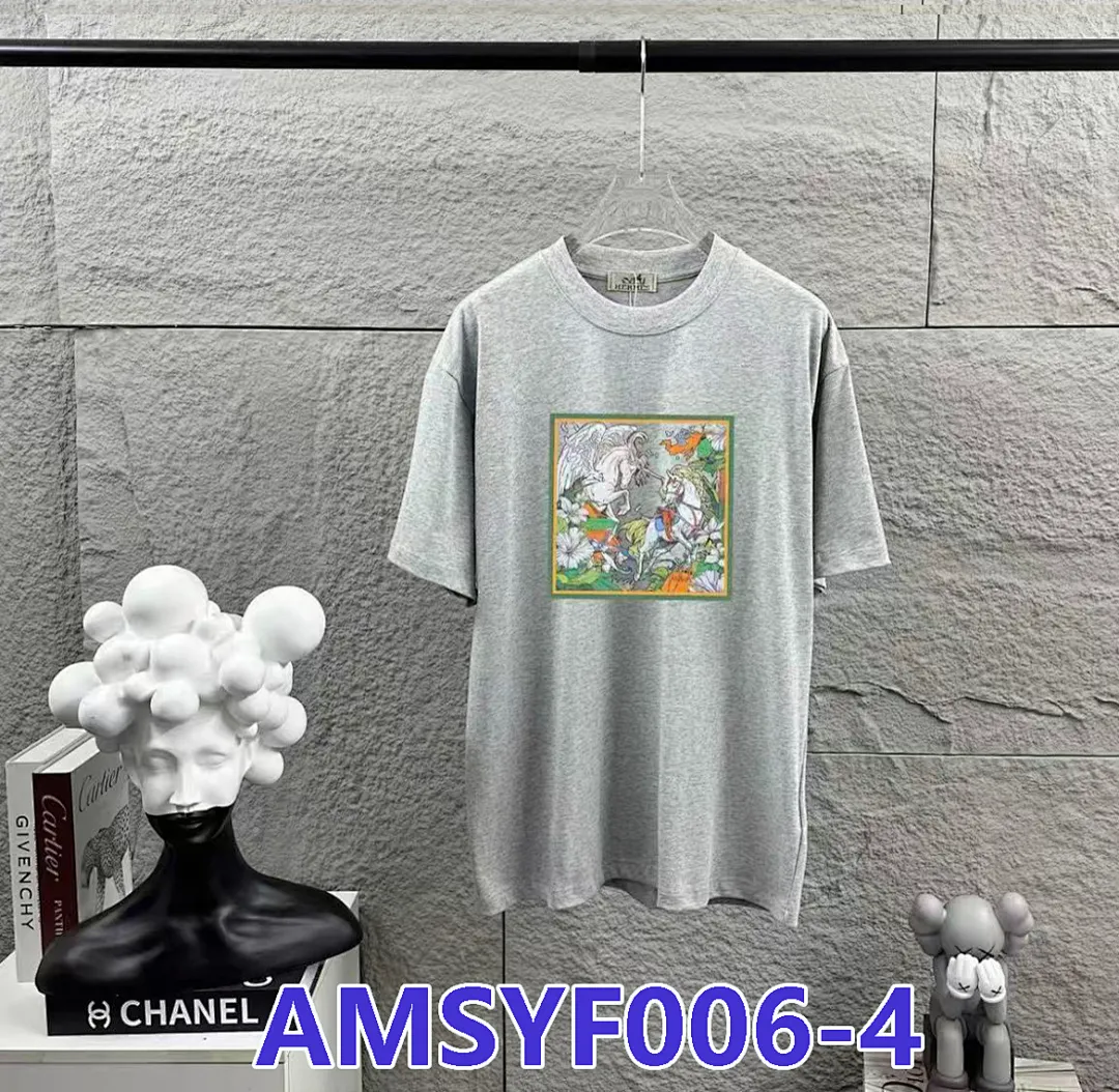 Hermes AMSYF006 תמונה 9