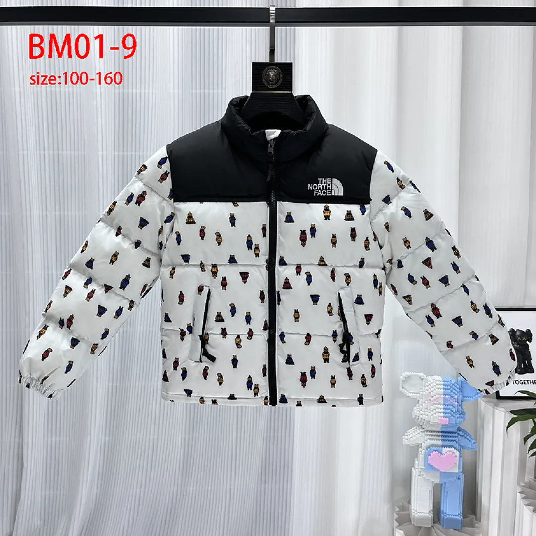 The North Face BM01 תמונה 15