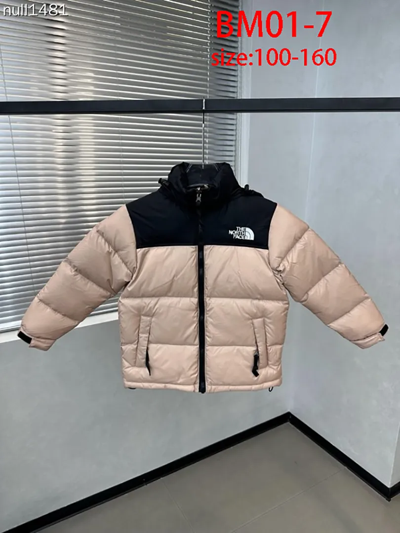 The North Face BM01 תמונה 17