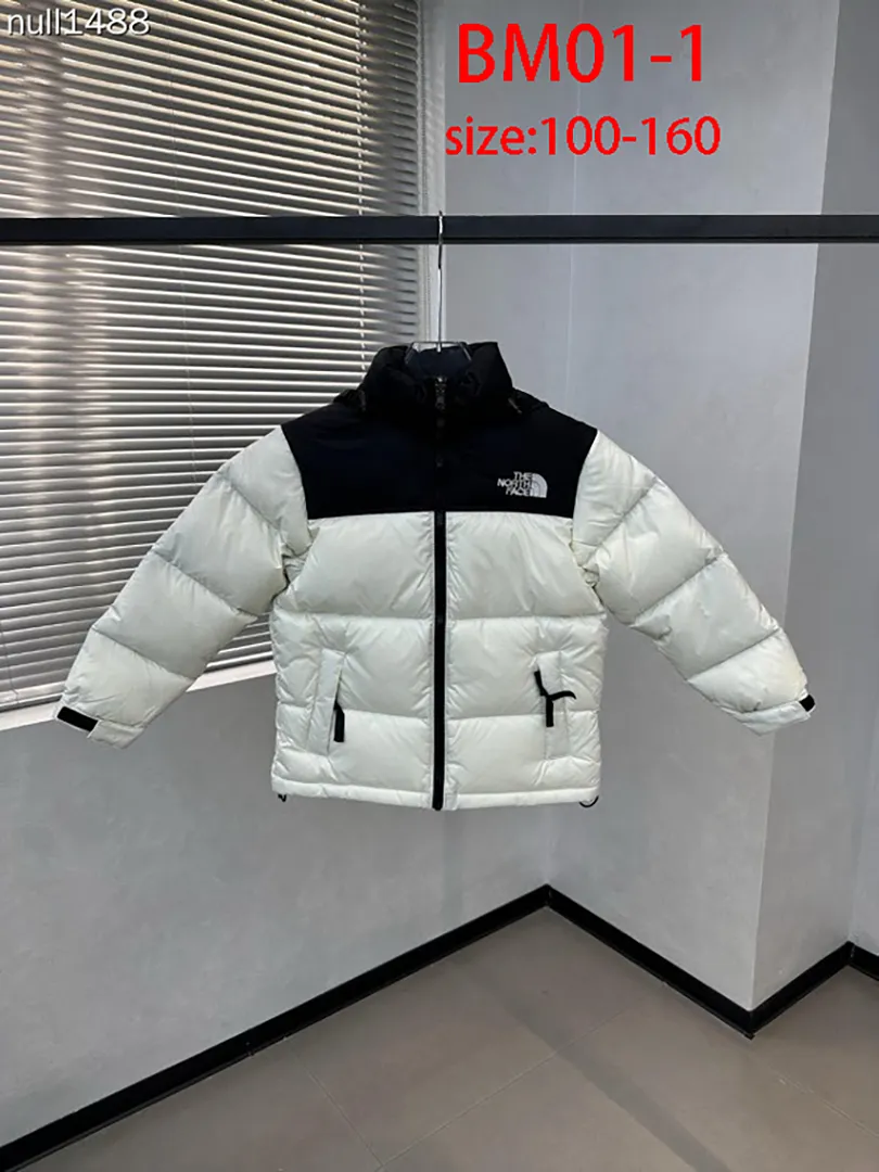 The North Face BM01 תמונה 23