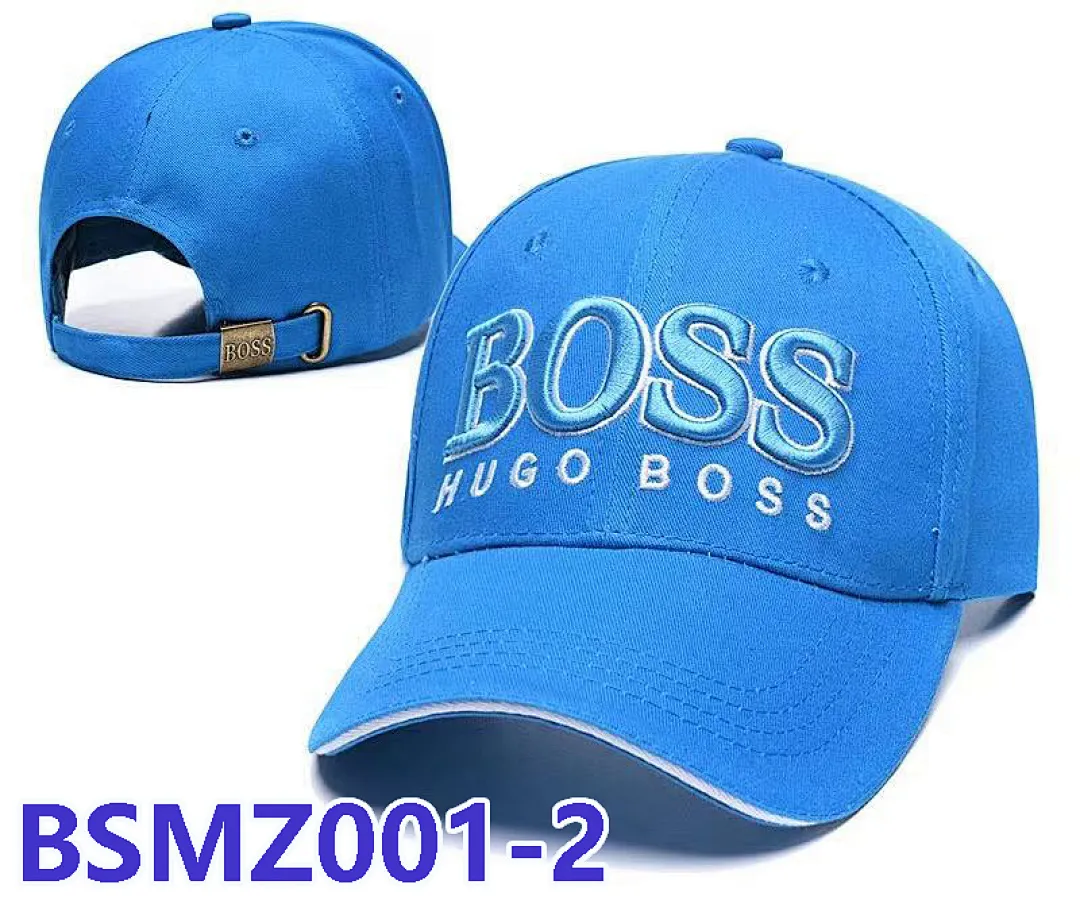 BOSS BSMZ001 תמונה 8
