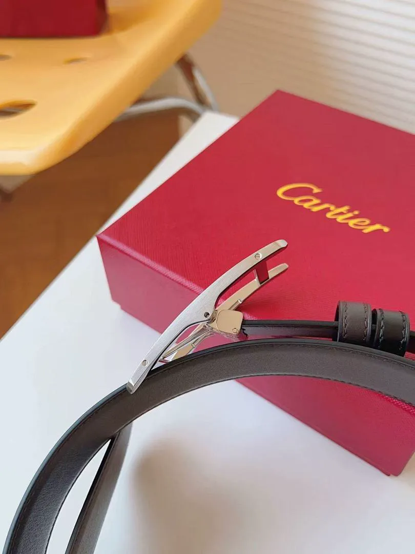 Cartier CATYD01 תמונה 12