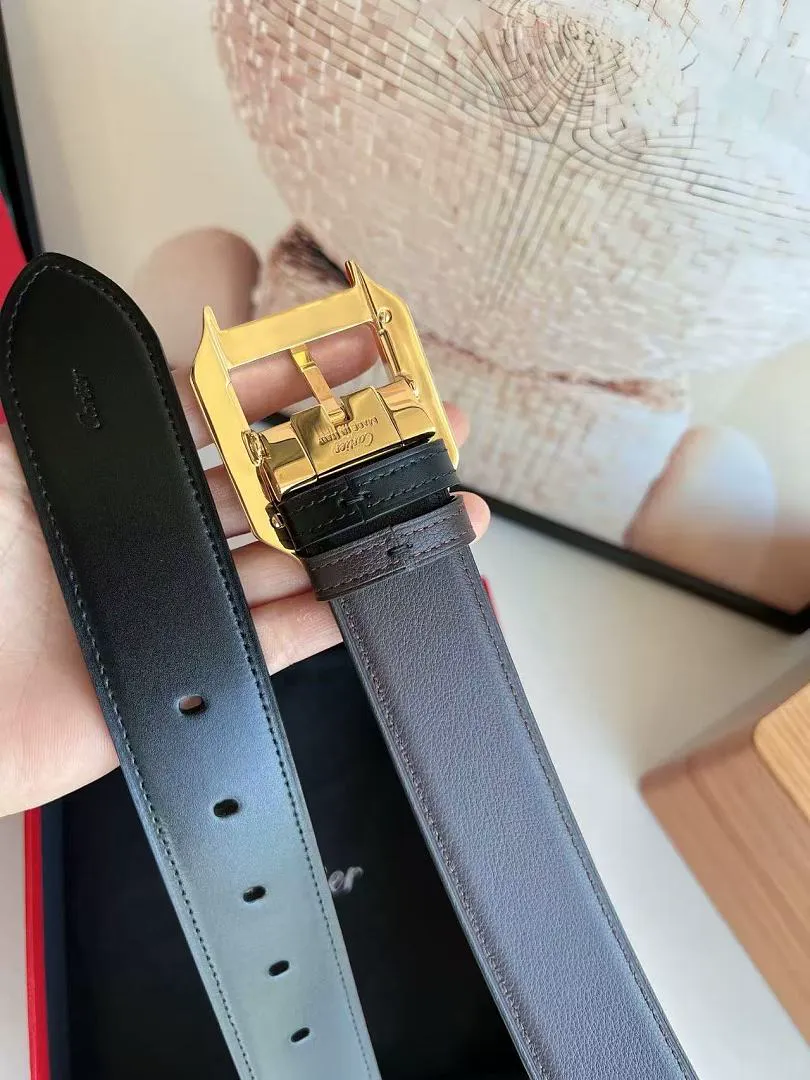 Cartier CATYD03 תמונה 9