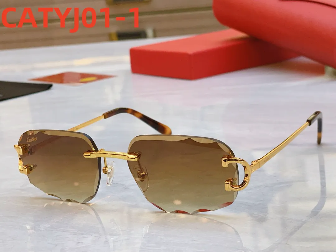 Cartier CATYJ01 תמונה 2