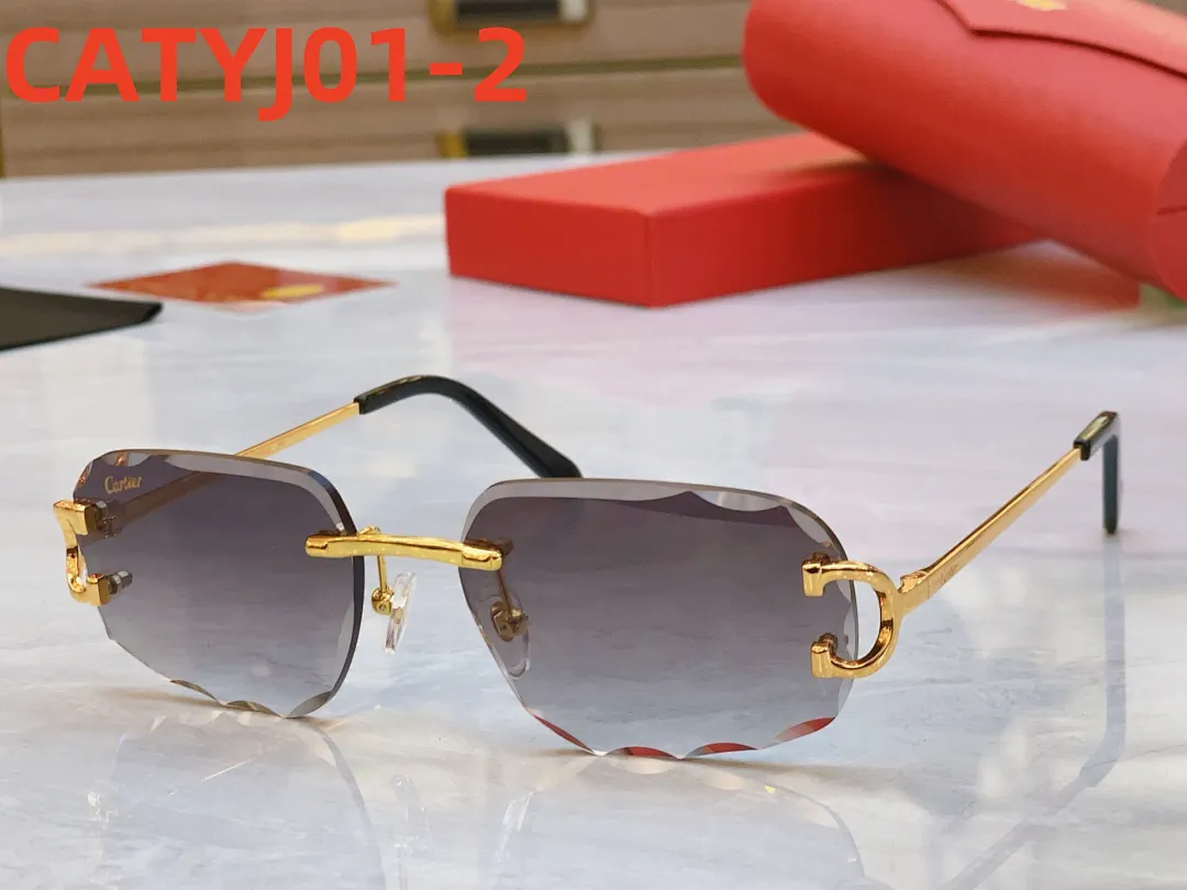 Cartier CATYJ01 תמונה 3