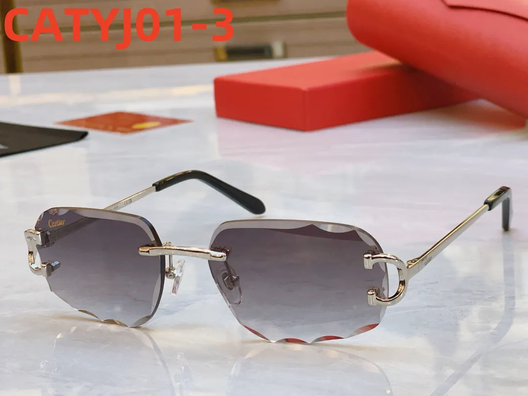Cartier CATYJ01 תמונה 4