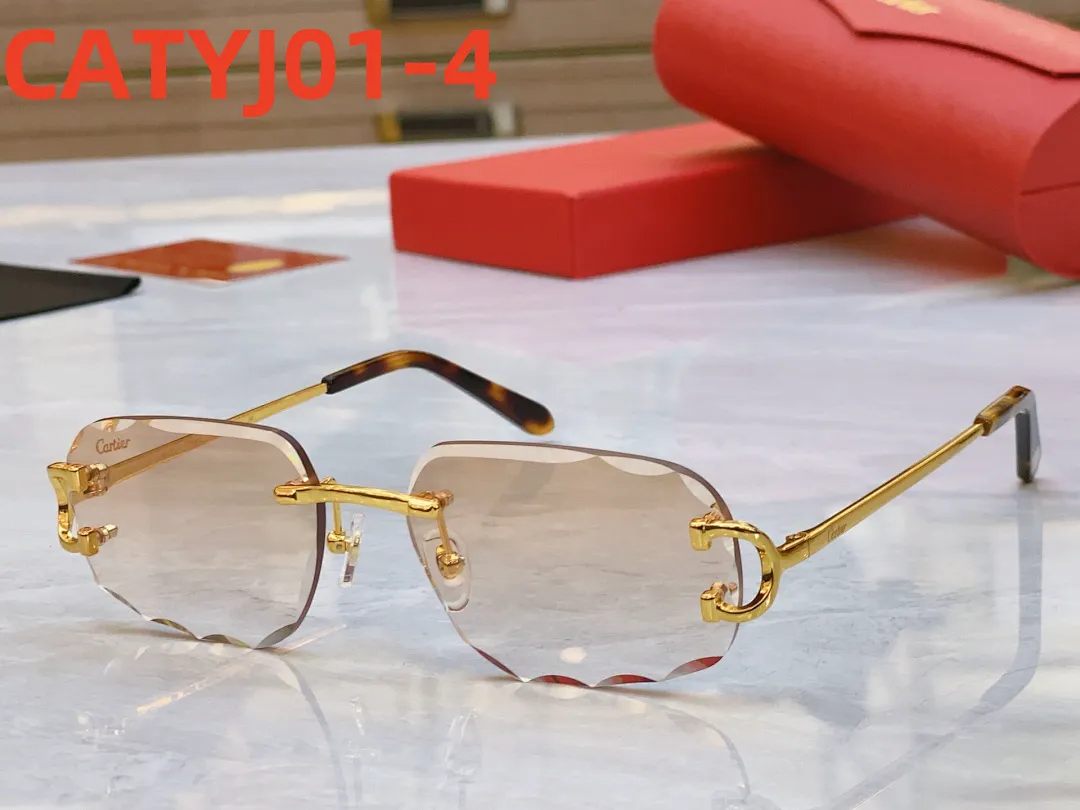 Cartier CATYJ01 תמונה 5