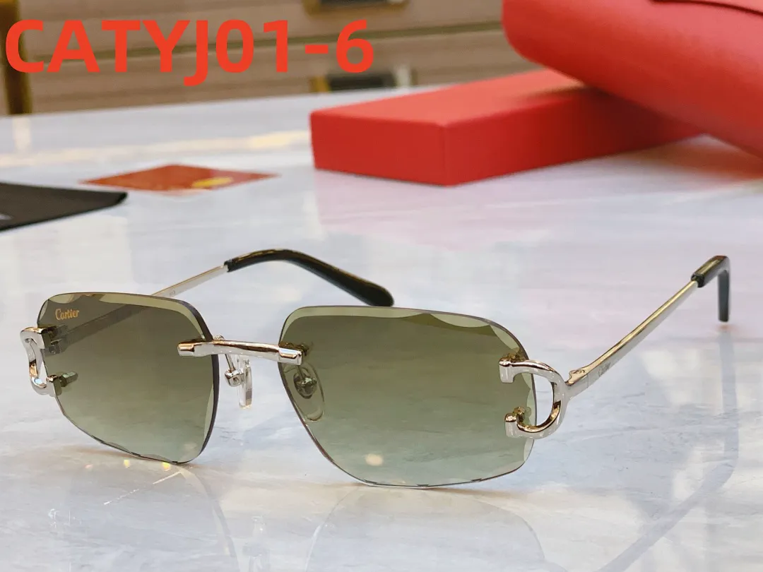 Cartier CATYJ01 תמונה 7