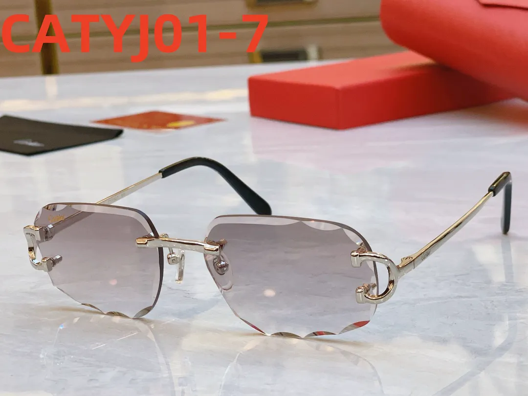 Cartier CATYJ01 תמונה 8