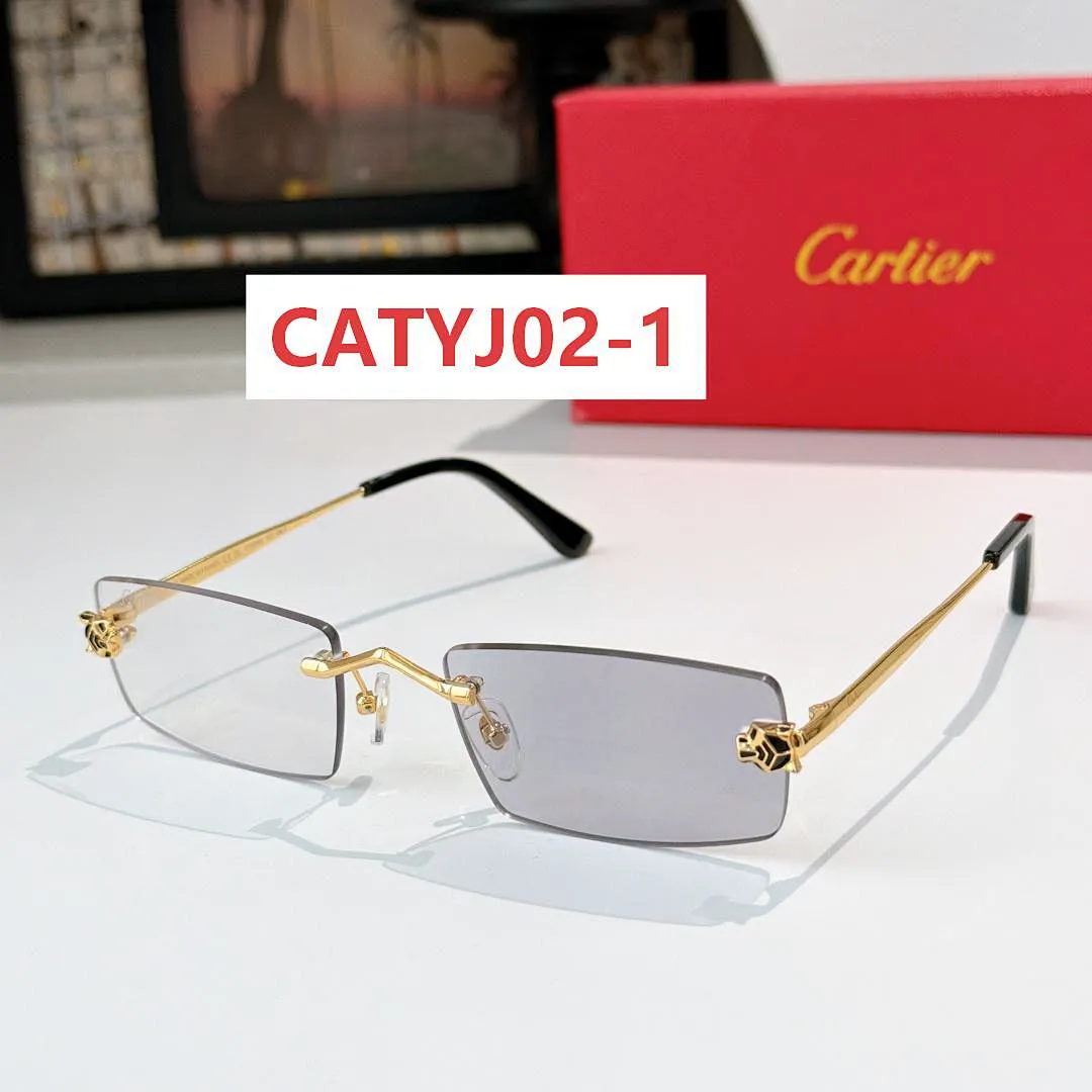 Cartier CATYJ02 תמונה 10
