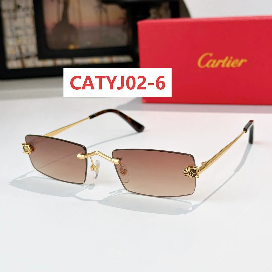 Cartier CATYJ02 תמונה 5
