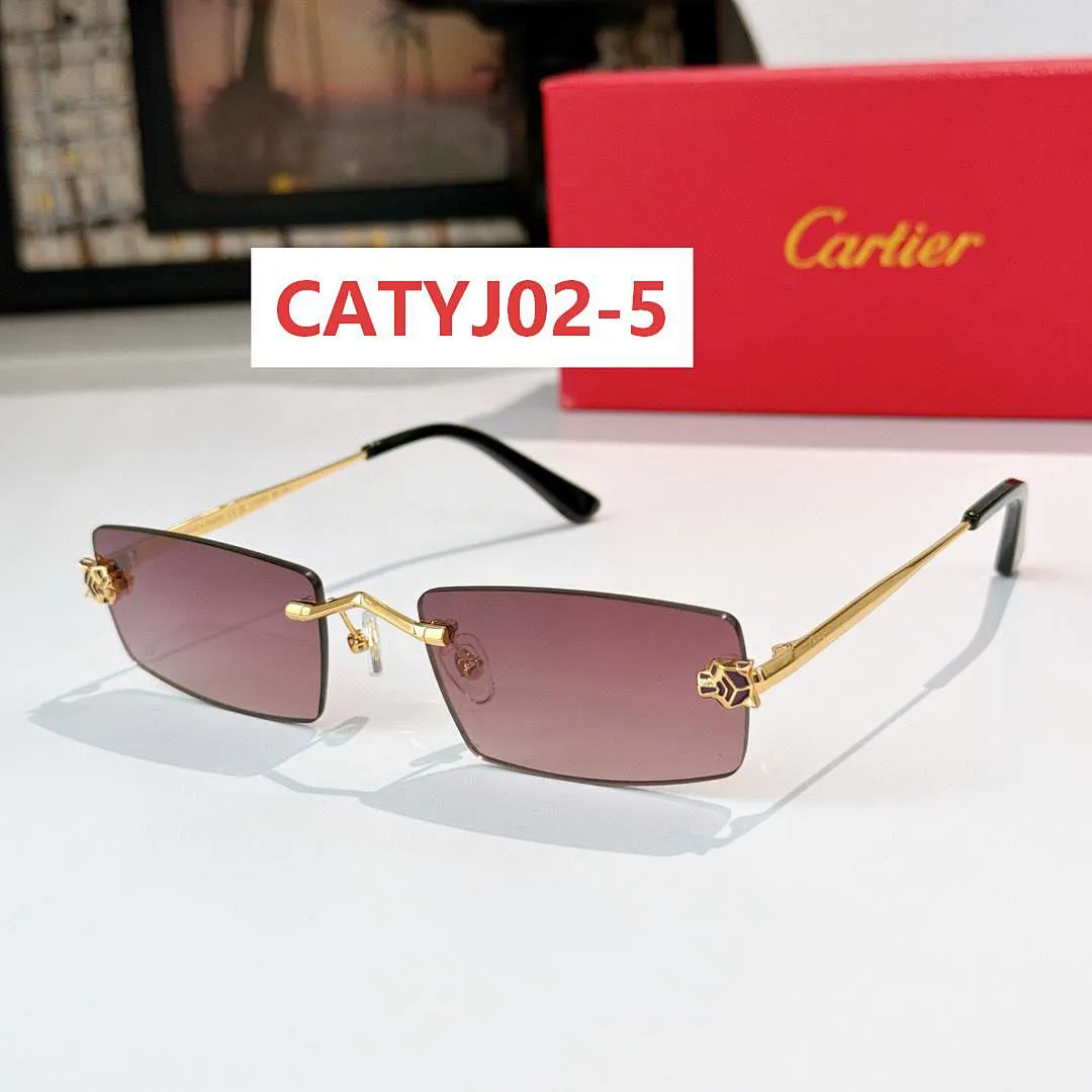 Cartier CATYJ02 תמונה 6
