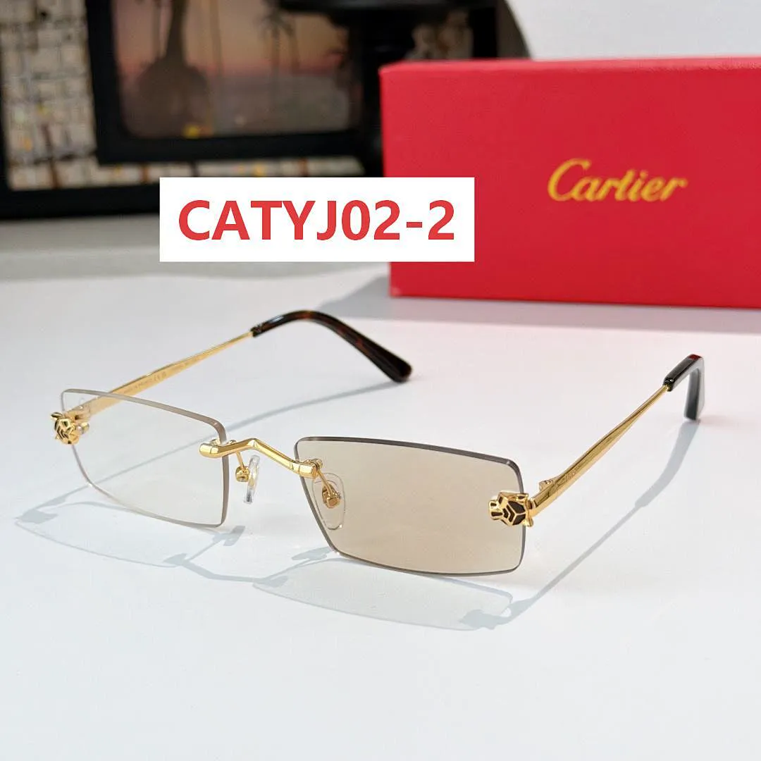 Cartier CATYJ02 תמונה 9