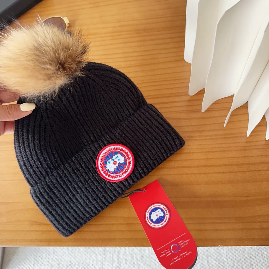 Canada Goose CGMZ02 תמונה 5