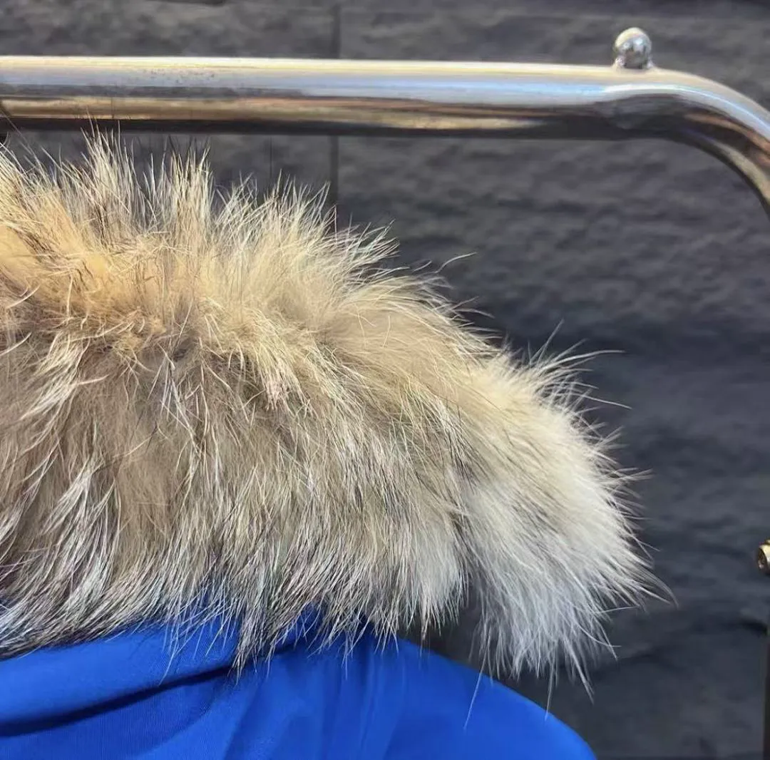 Canada Goose CGYF06 תמונה 12