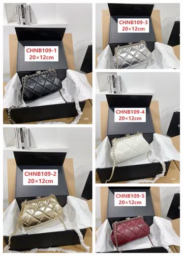 Chanel CHNB109